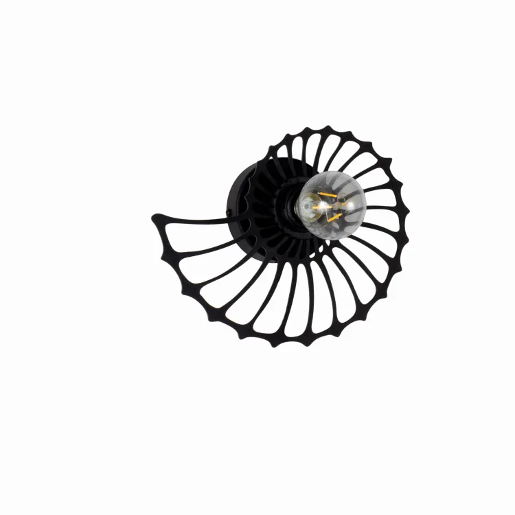 amonit-25cm.jpg