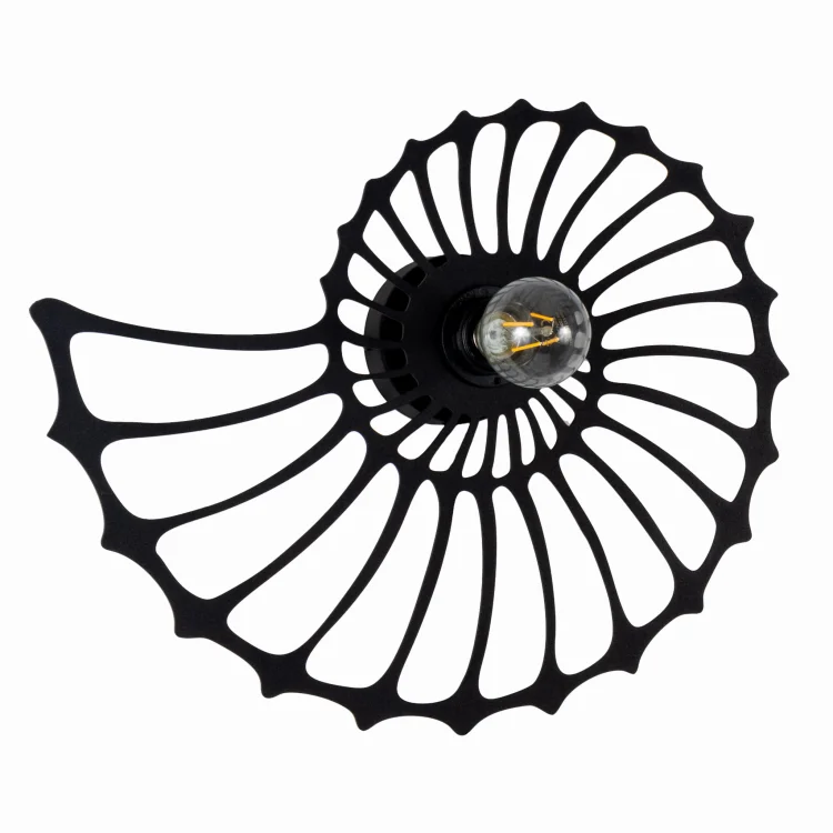 amonit-45cm.jpg