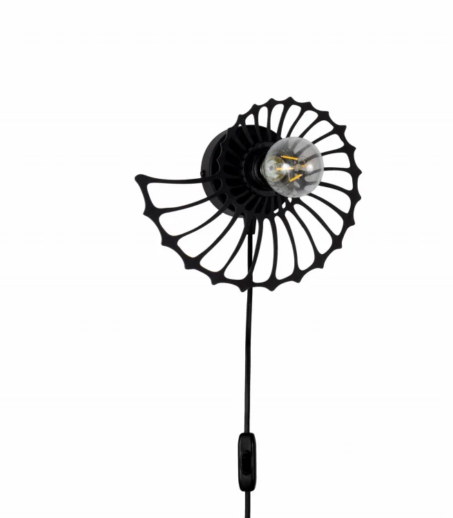 slimak-25cm.jpg