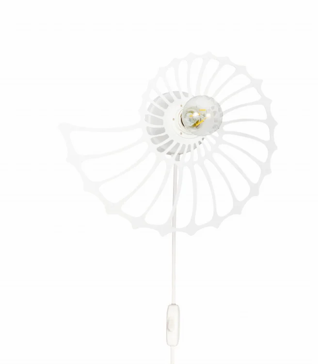 amonit-35-cm.jpg