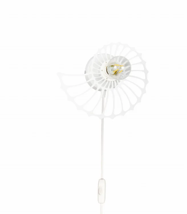 amonit-25-cm.jpg